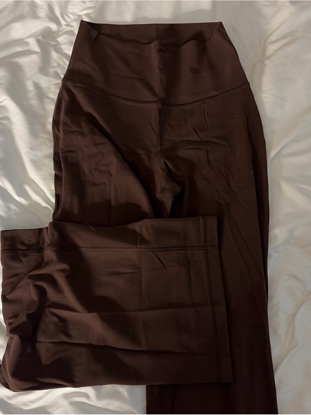 Aritzia Wide-Leg High-Waist Pants in Dark Brown